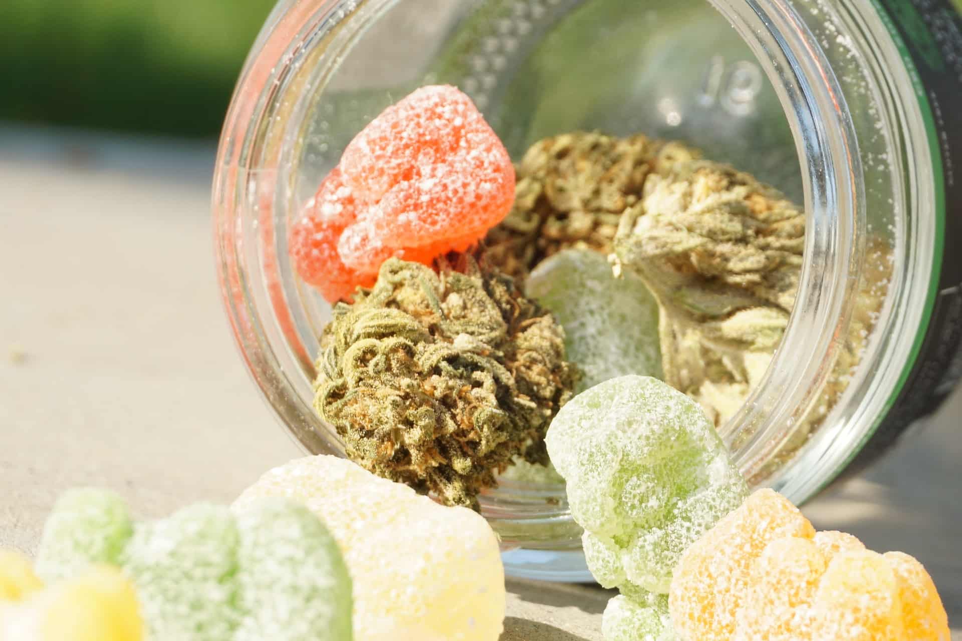 Best Edibles For Migraines