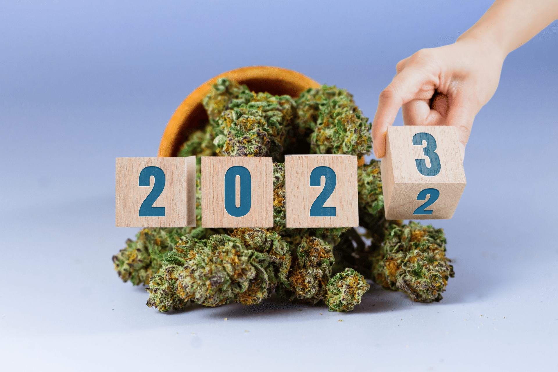 Which Cannabis Laws Go Into Effect in 2023? 