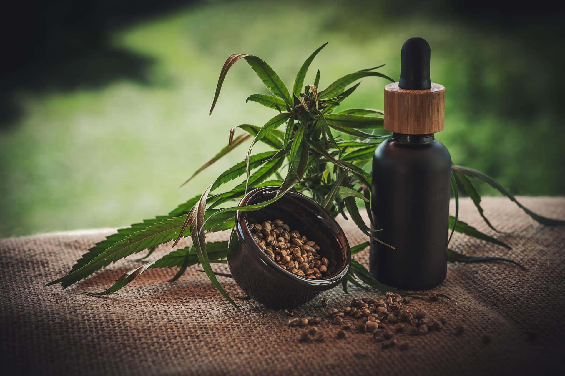 Common Myths About CBD