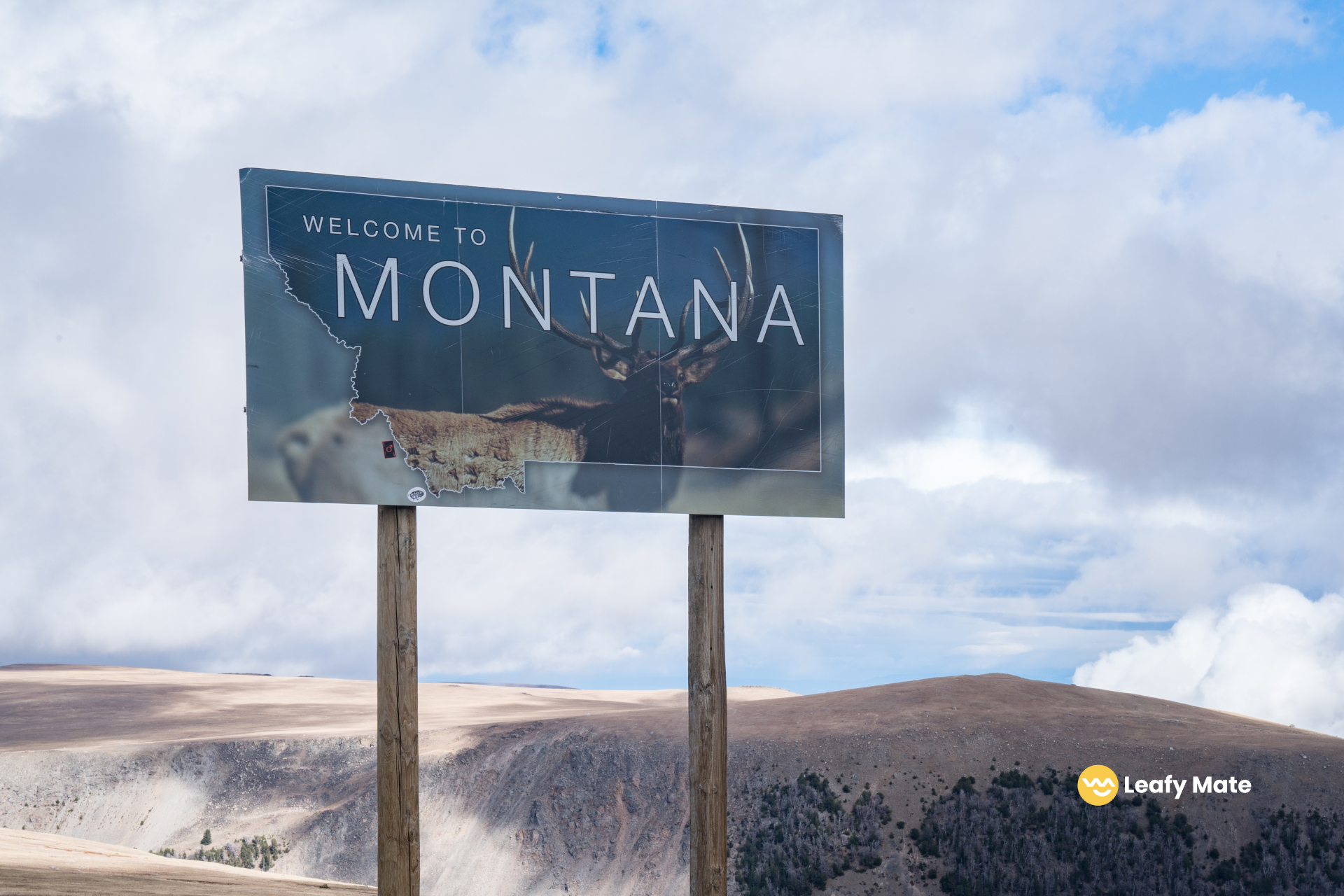 Montana’s Controversial Bill to Eliminate Adult-Use Marijuana Dispensaries