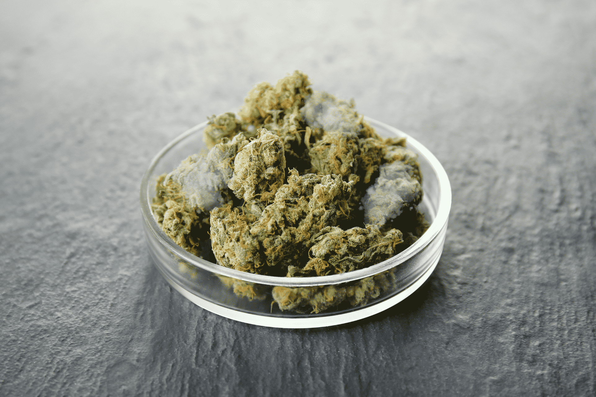 What Does Weed Mold Look Like?