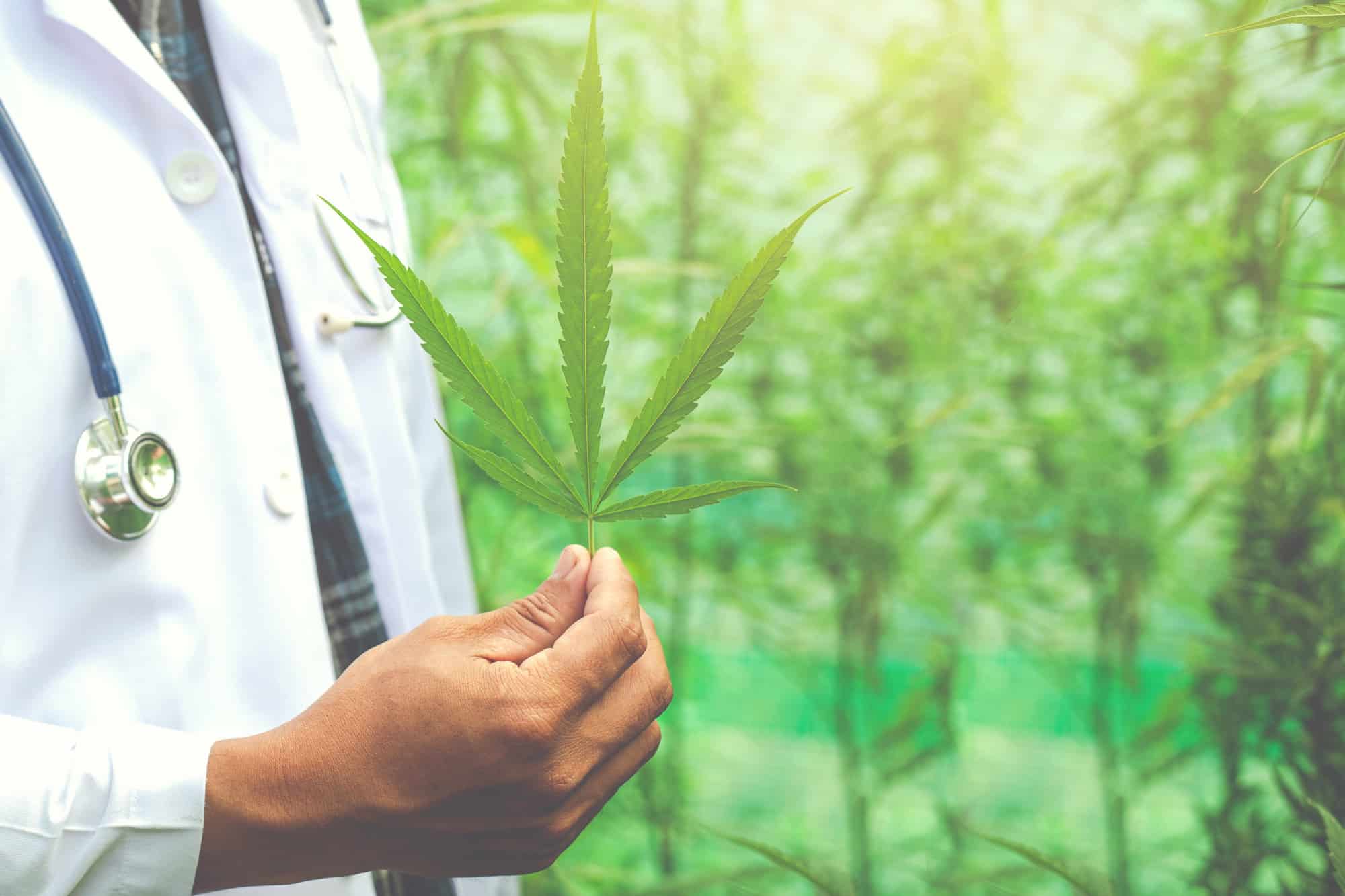 What makes Cannabis Medicine