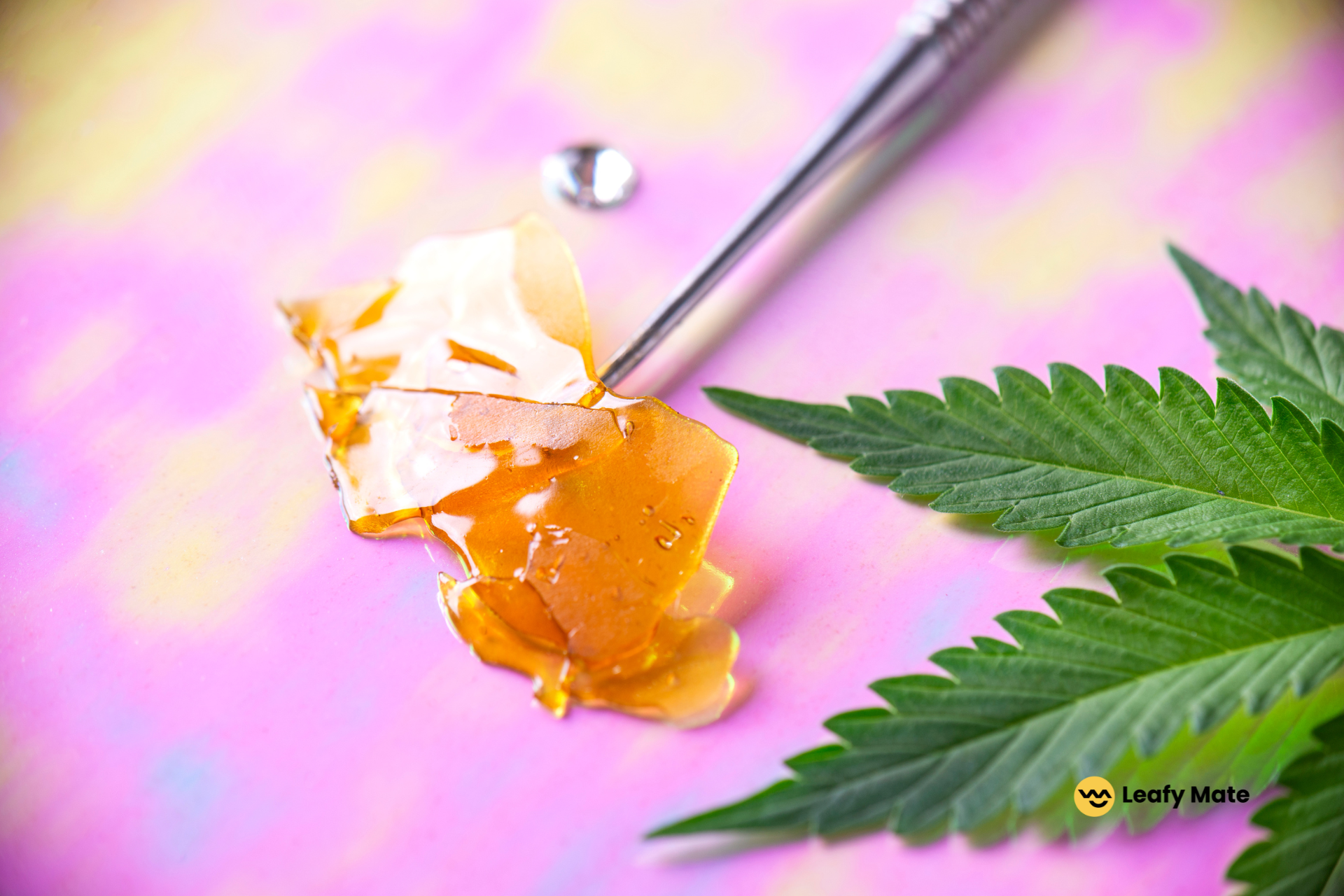 How to Make Cannabis Concentrates at Home: A Step-by-Step Guide