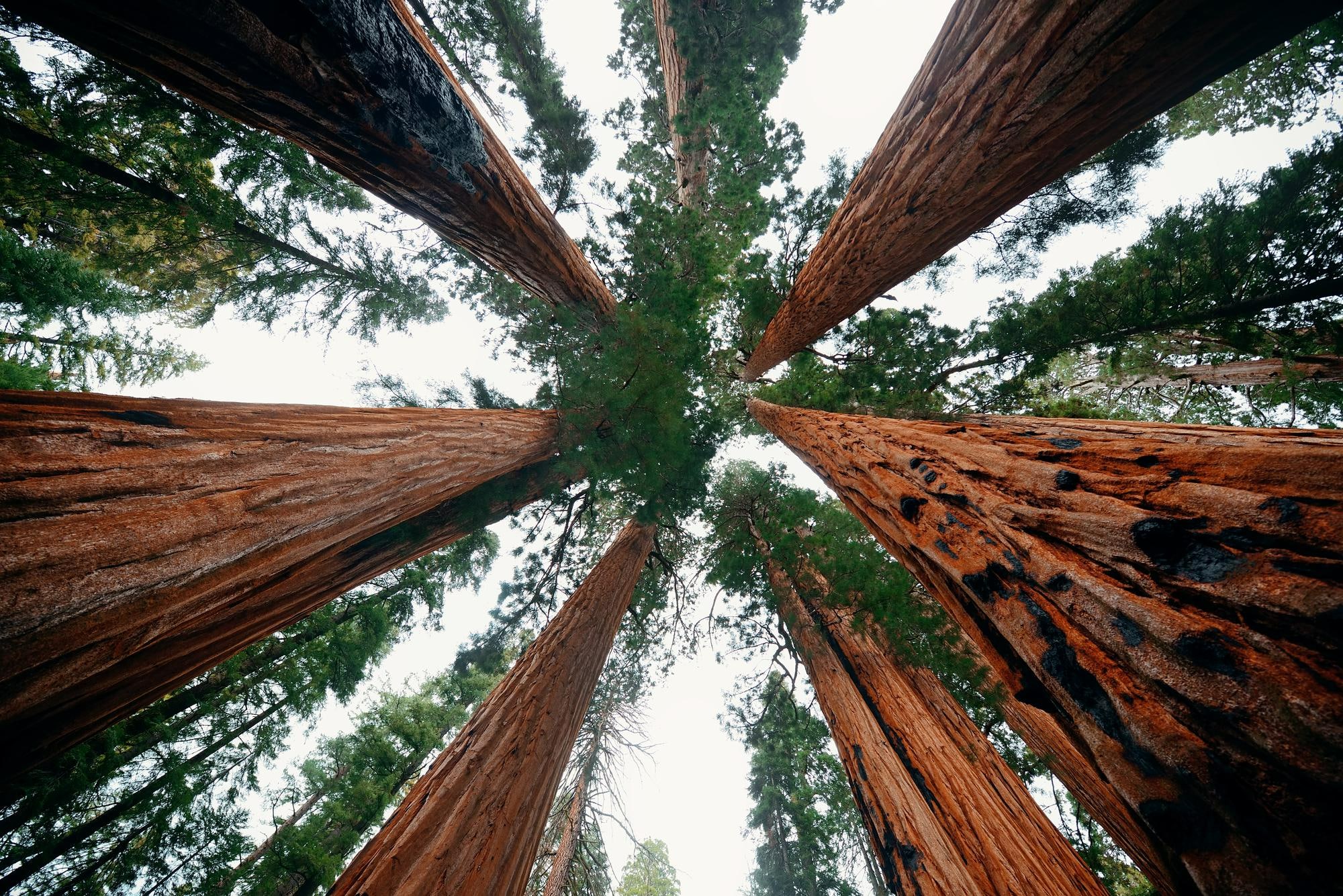 Is Smoking Weed allowed in National Parks?