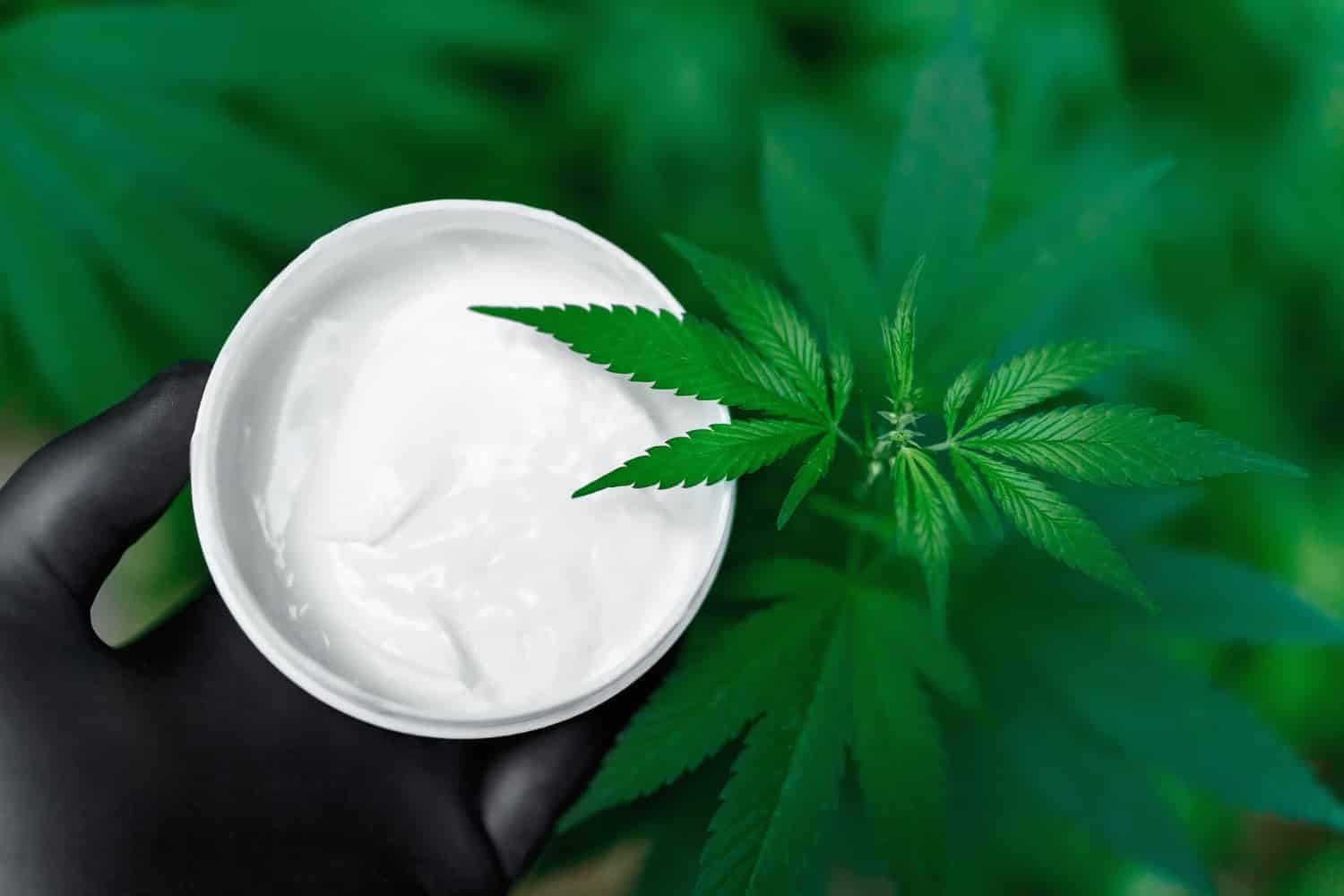 Best Cannabis Strains For Psoriasis & Skincare