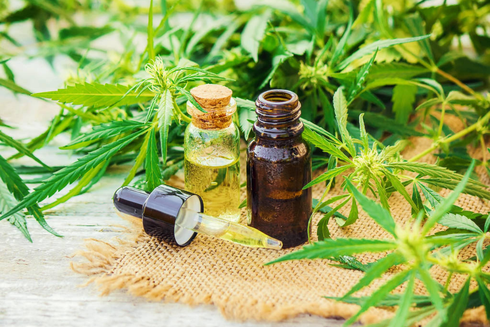 What is a Cannabis Tincture?