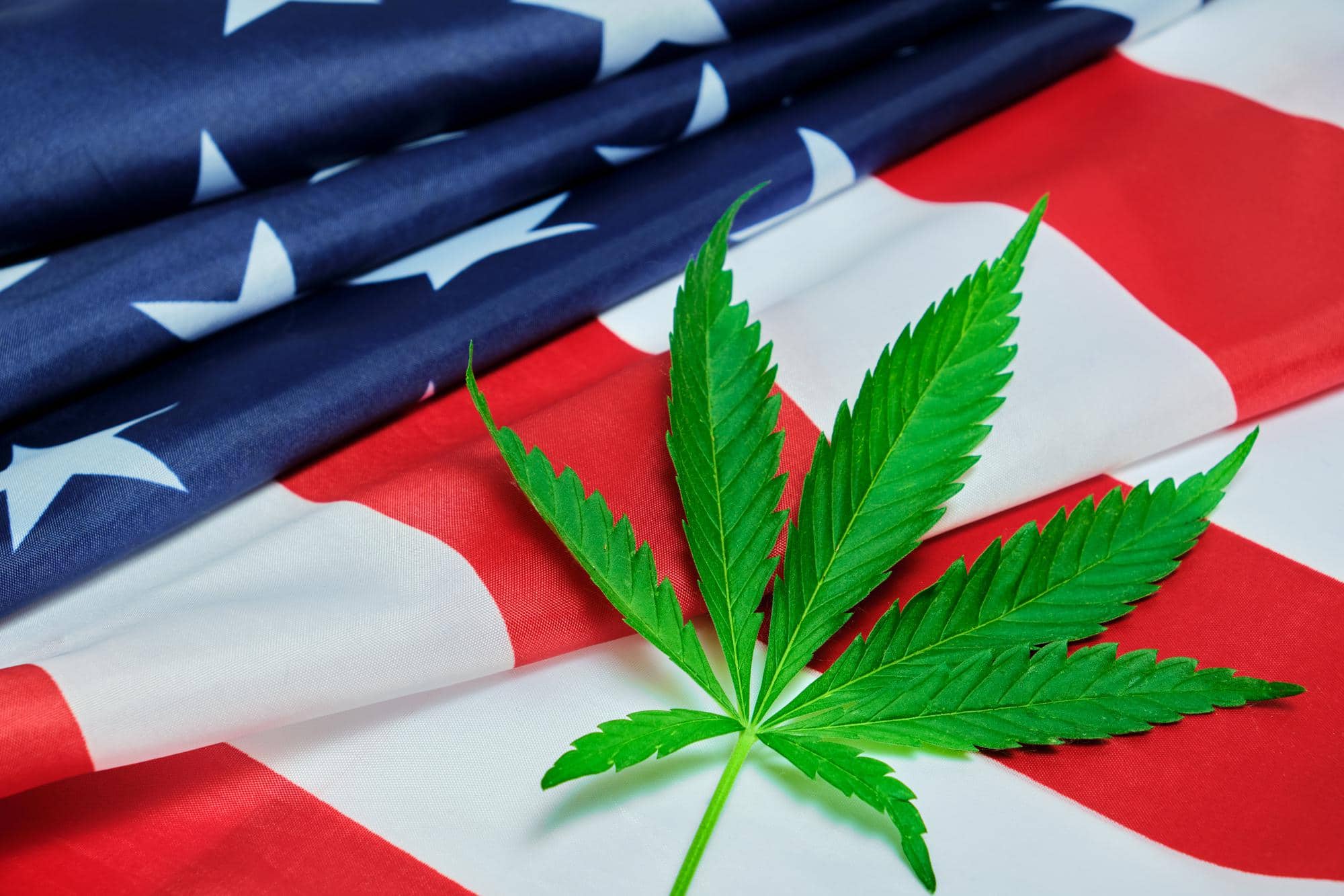 The Cannabis Administration and Opportunity Act of 2022- What Will it Do?