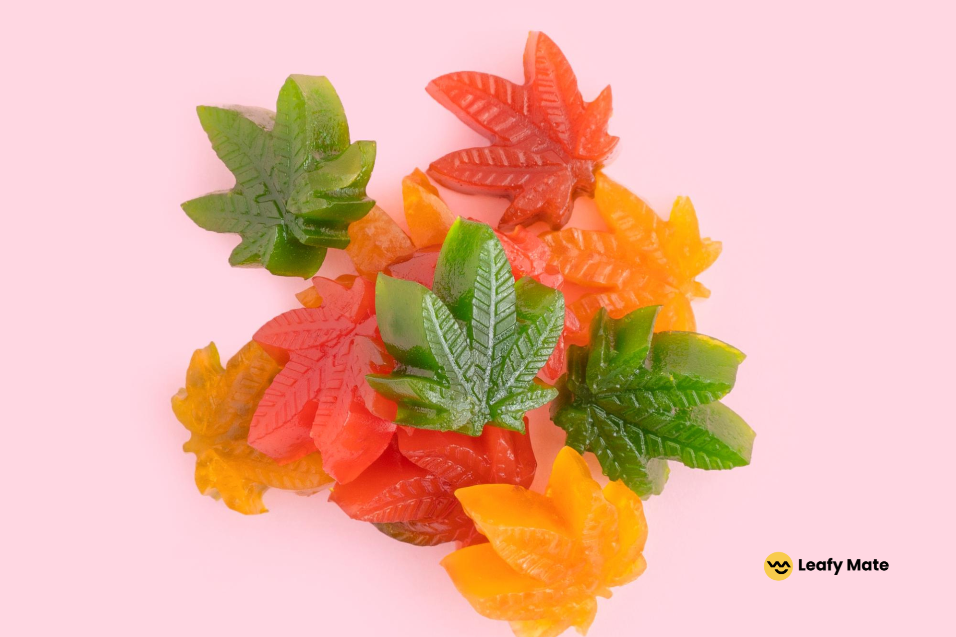 A Beginner’s Guide to Edible Dosage: How to Consume Cannabis Safely