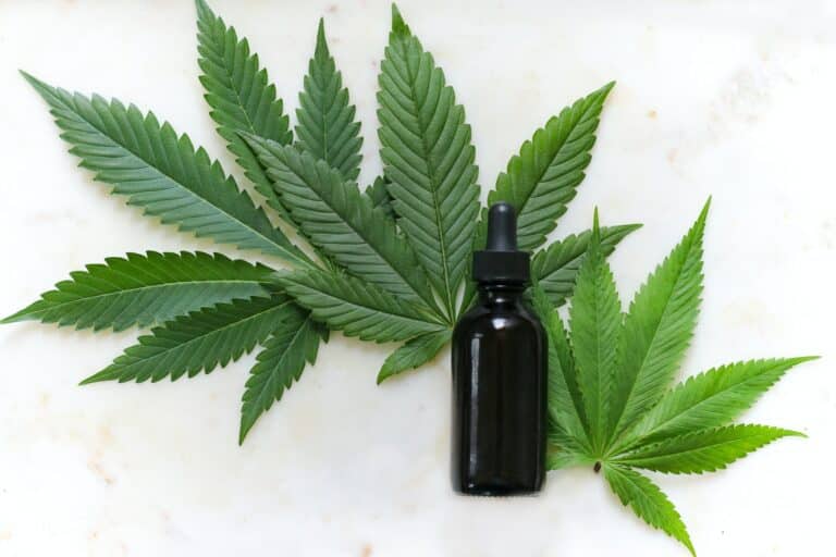 Hemp Oil vs CBD Oil Leafy Mate