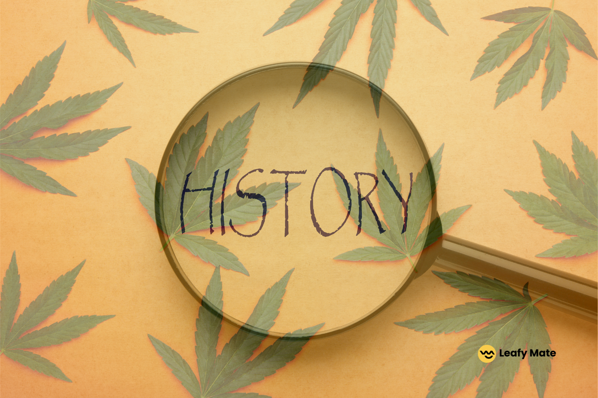 The Fascinating History of Cannabis: From Ancient Times to Today