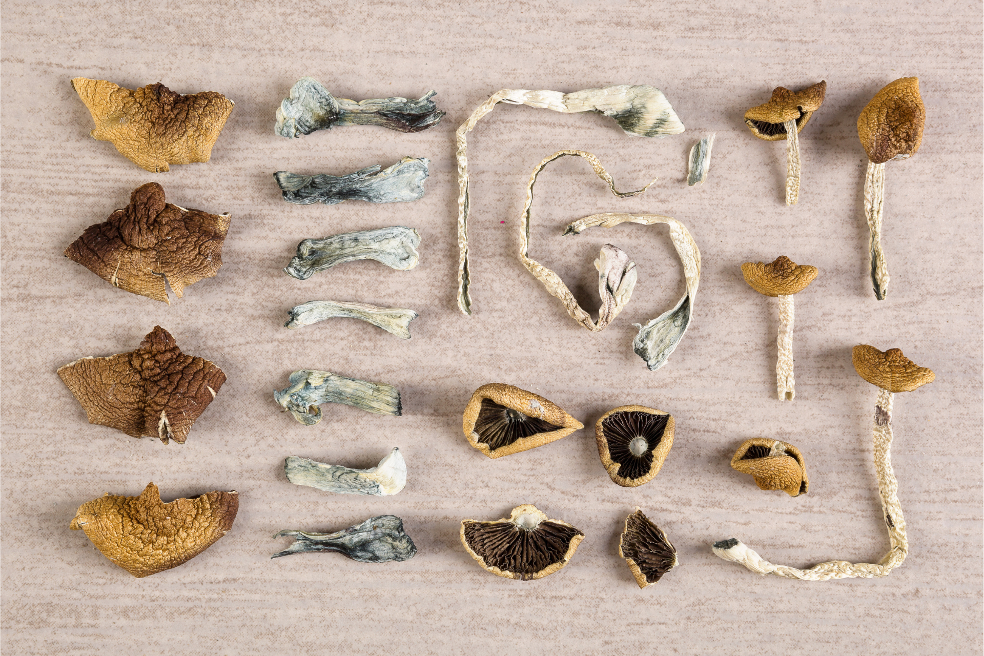 How Long Will Magic Shrooms Last?