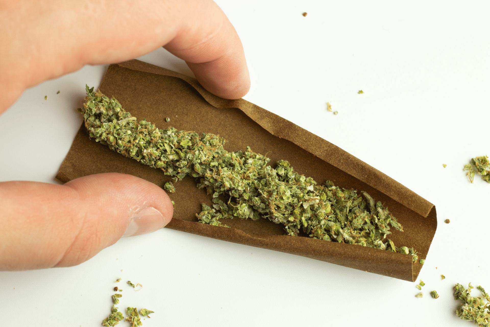 How to Roll the Best Blunt: Beginner’s Guide