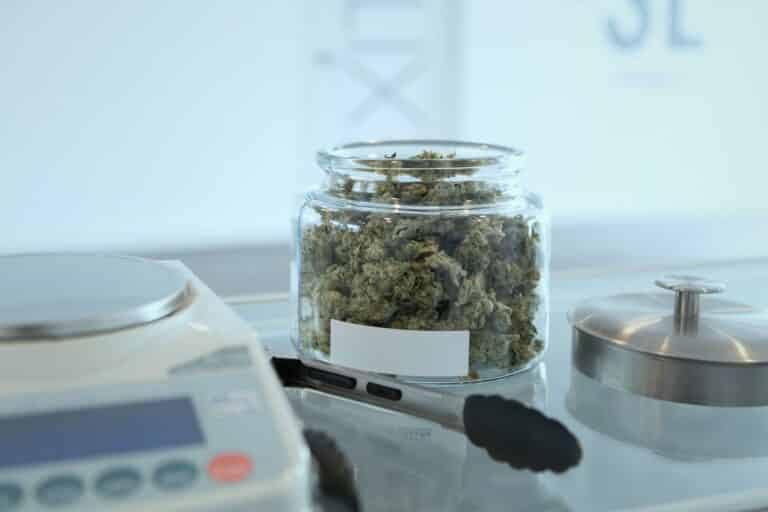 You Can Get Your Medical Marijuana Card Online — Right Now