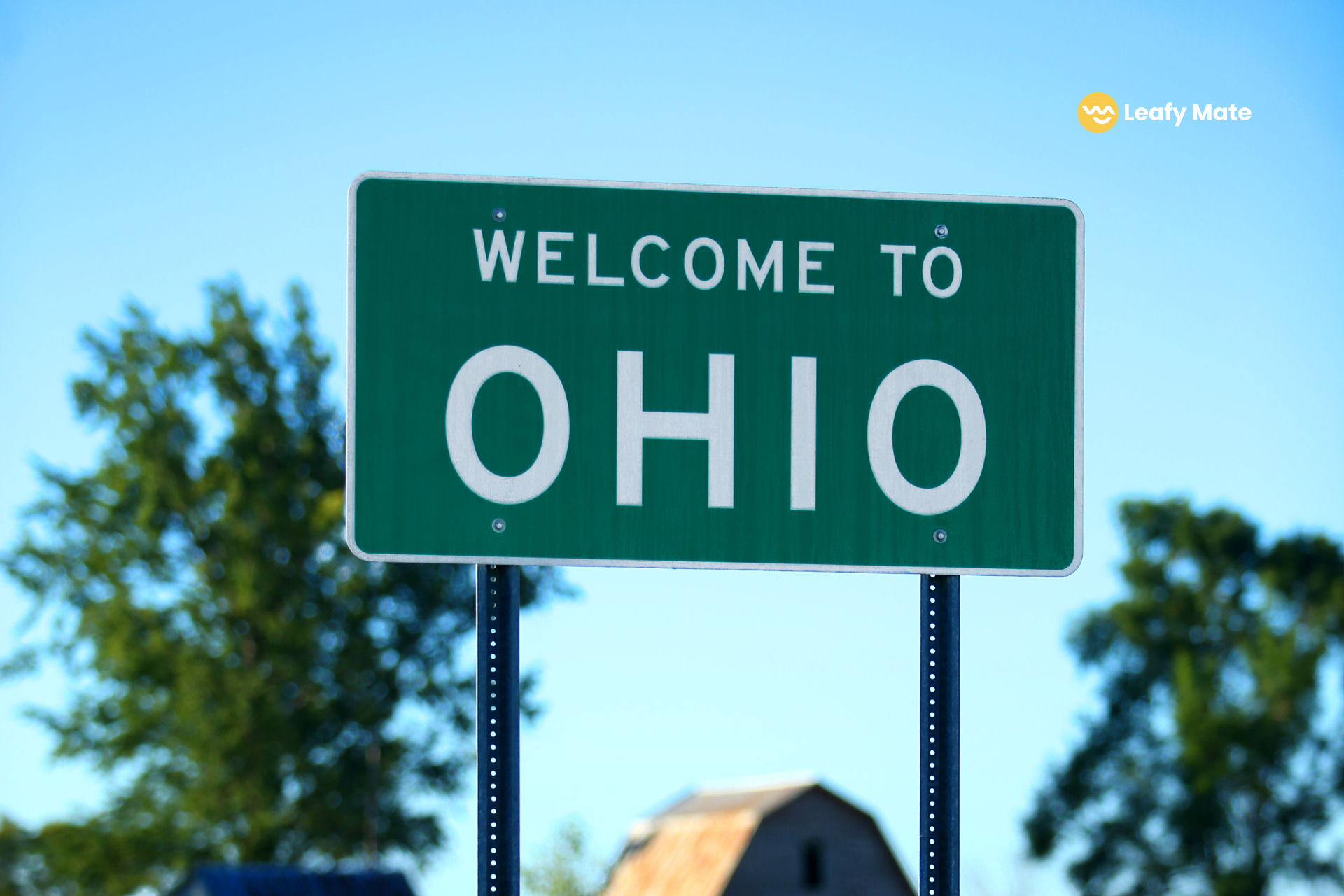 Green Horizons: Ohio’s Journey Towards Cannabis Embrace