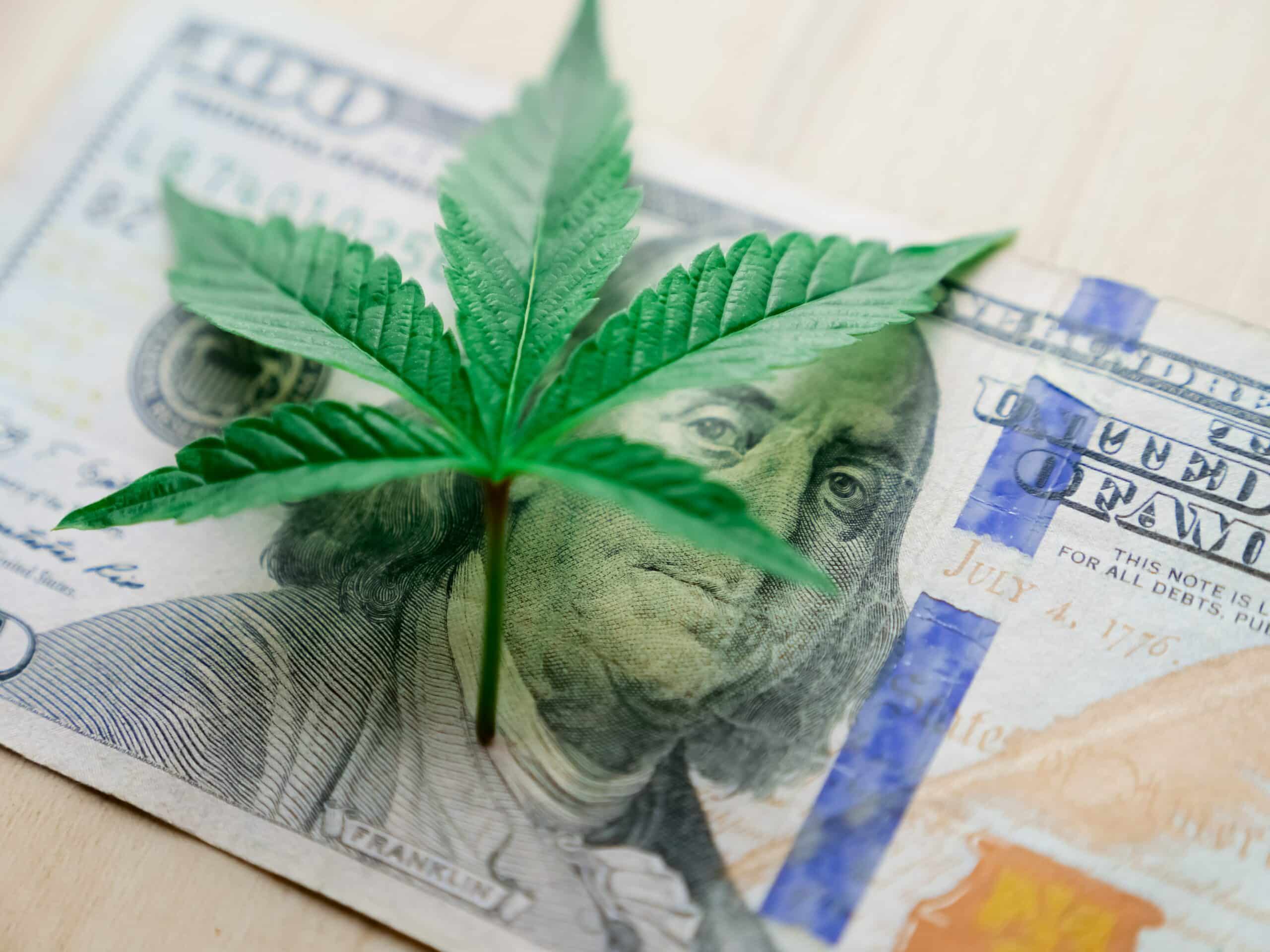 How to Save Money on Weed