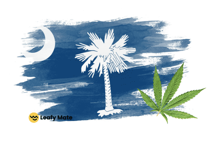 South Carolina: the 37th Medical Cannabis State?