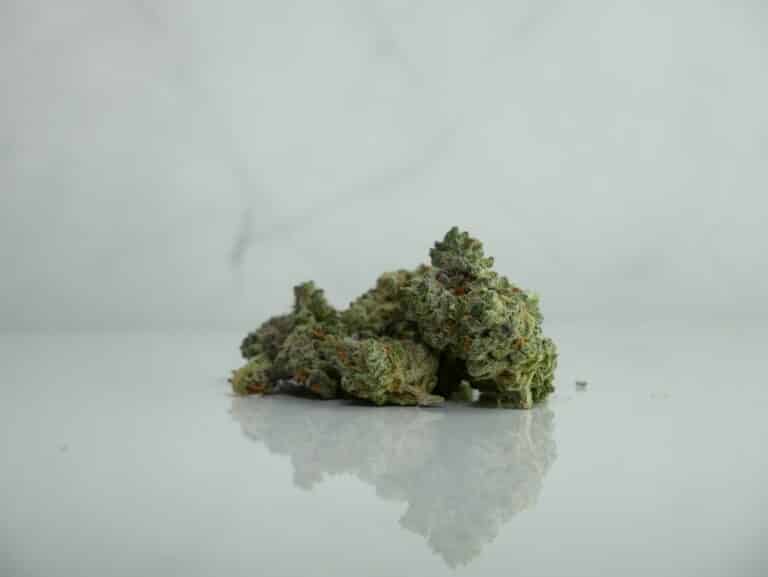 What is Indica – Everything you Need to Know